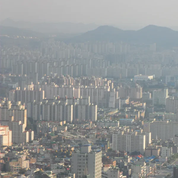 그랜드 로제나플레이스 마사지 안내 이미지