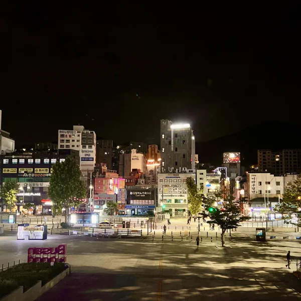 라운지 유나포레스트 테라피 안내 이미지