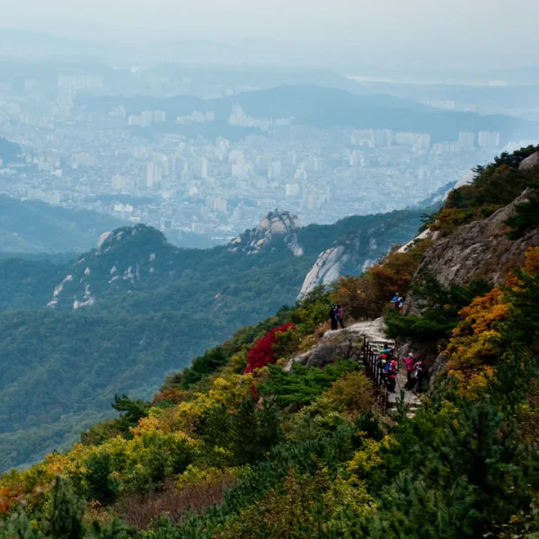 힐링 아델가든 테라피 안내 이미지